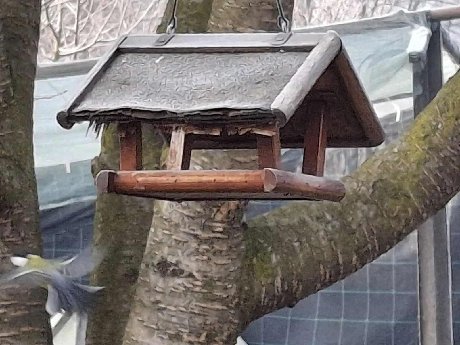 viber_slika_2025-01-16_12-30-05-545