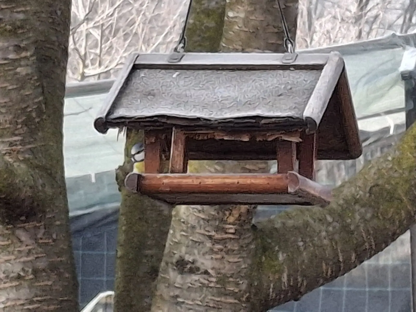 viber_slika_2025-01-16_12-30-05-568