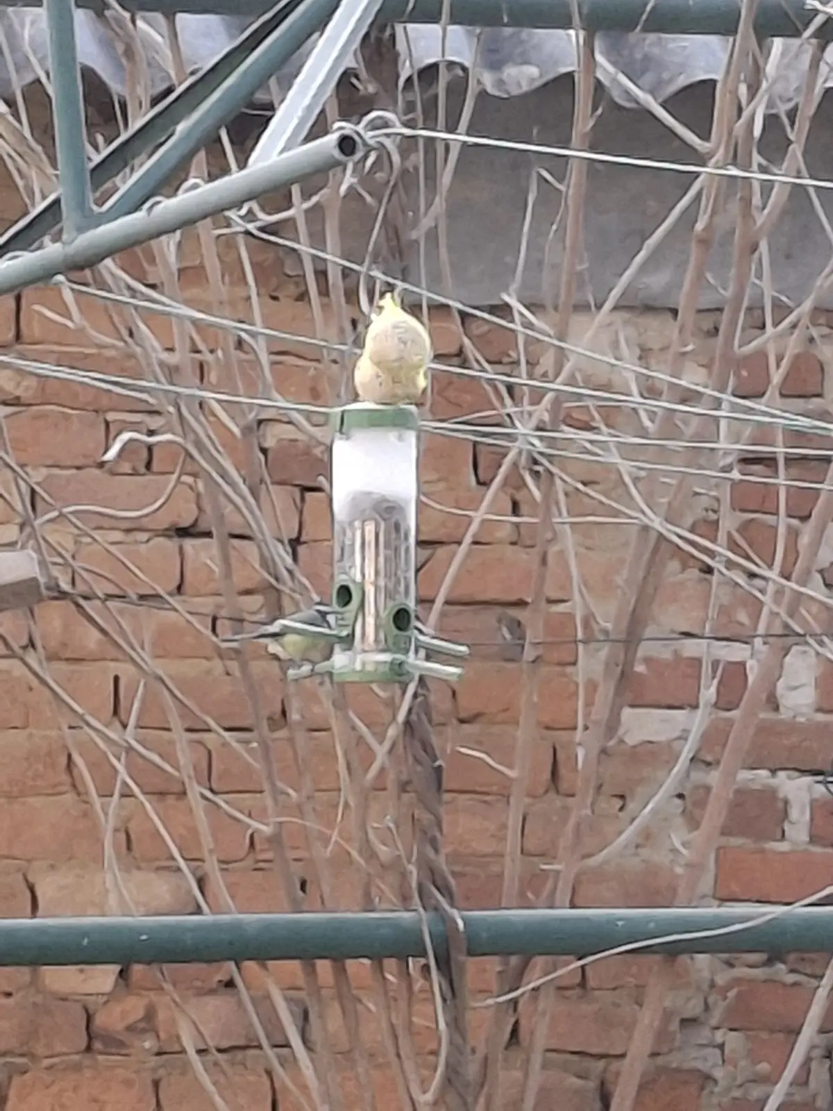 viber_slika_2025-01-16_12-30-05-693