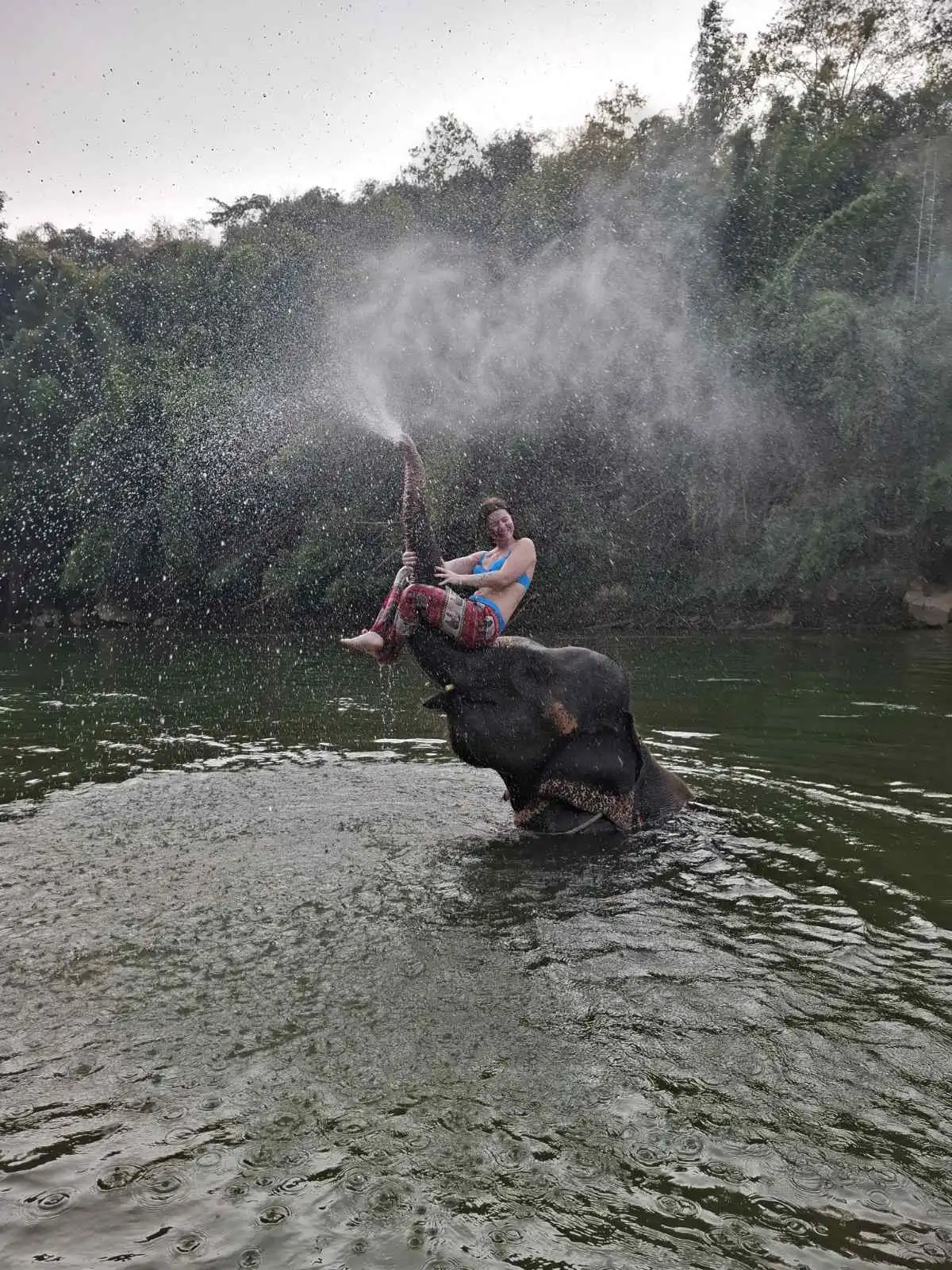 viber_slika_2025-01-19_14-50-48-553 viber_slika_2025-01-19_14-50-48-553