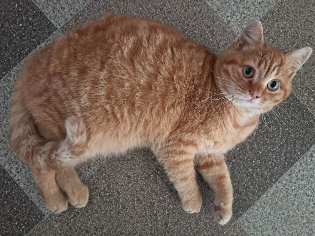 viber_slika_2025-04-10_15-38-49-334