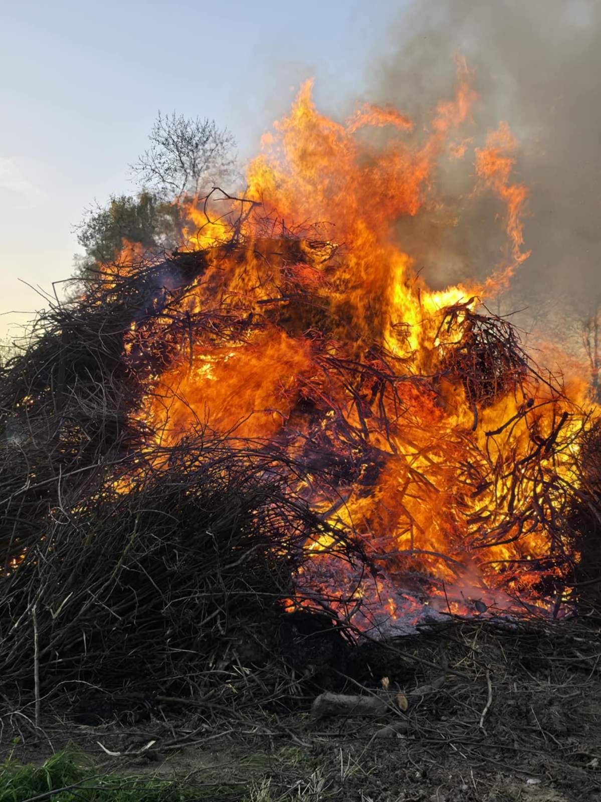 Vuzmenka u Štrukovcu