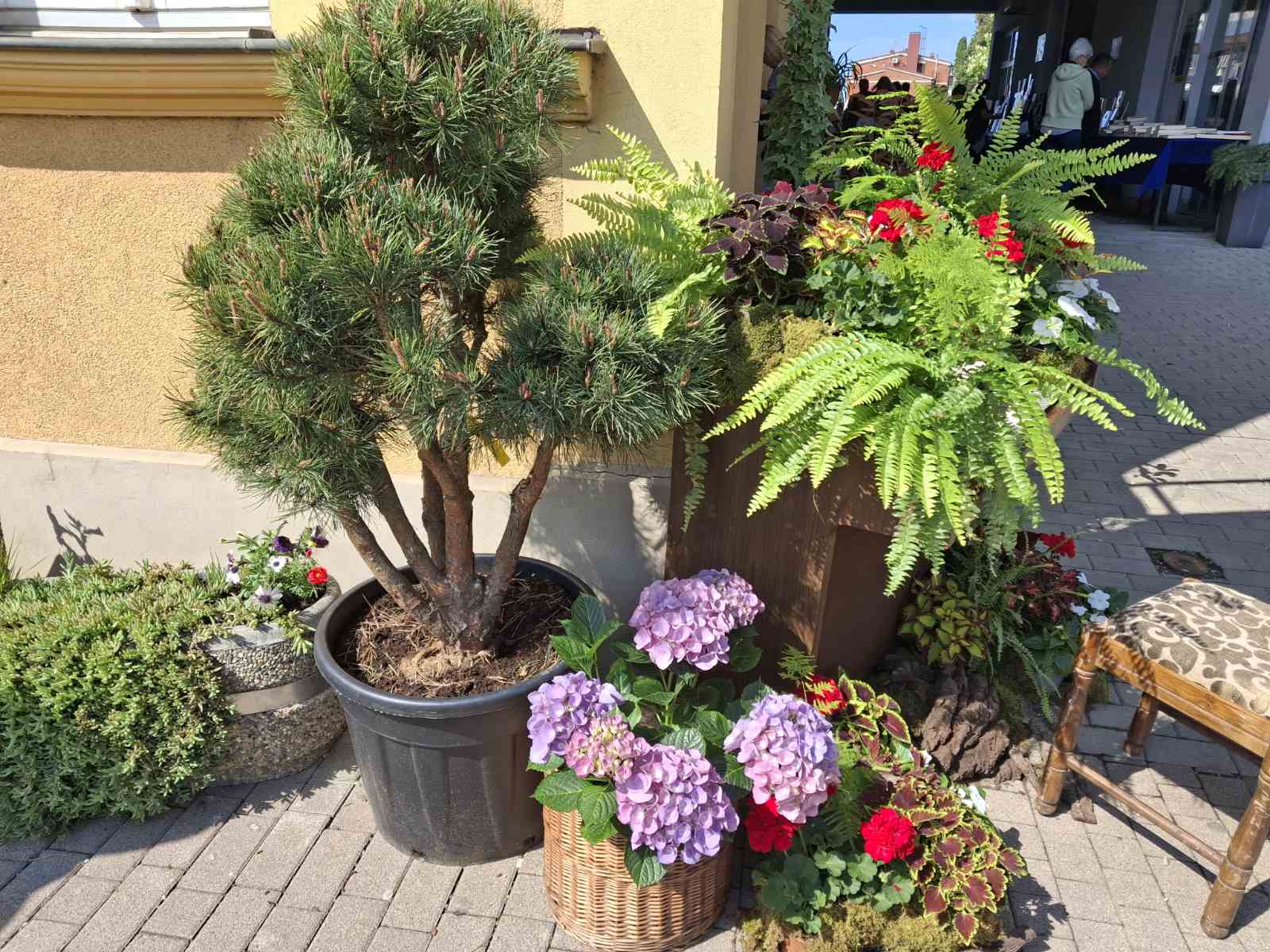 Sajam cvijeća Prelog 2025 Sajam cvijeća Prelog 2025