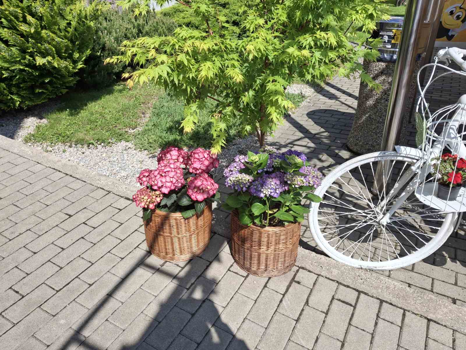 Sajam cvijeća Prelog 2025 Sajam cvijeća Prelog 2025