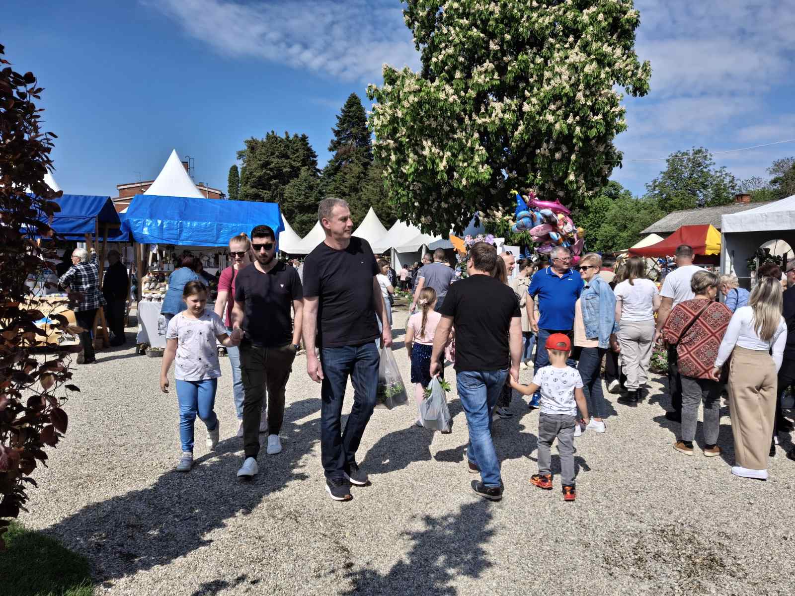 Sajam cvijeća Prelog 2025 Sajam cvijeća Prelog 2025