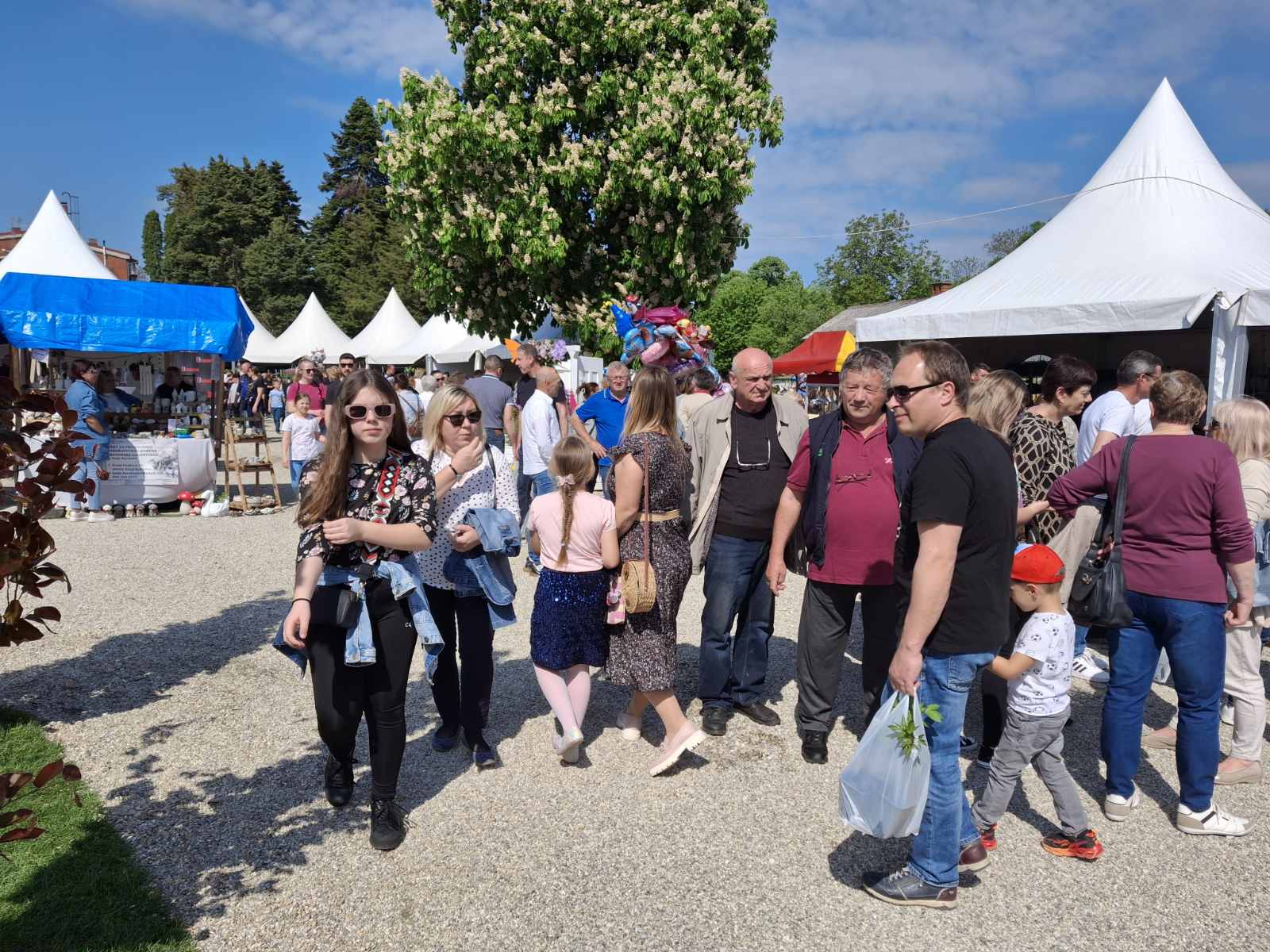 Sajam cvijeća Prelog 2025 Sajam cvijeća Prelog 2025