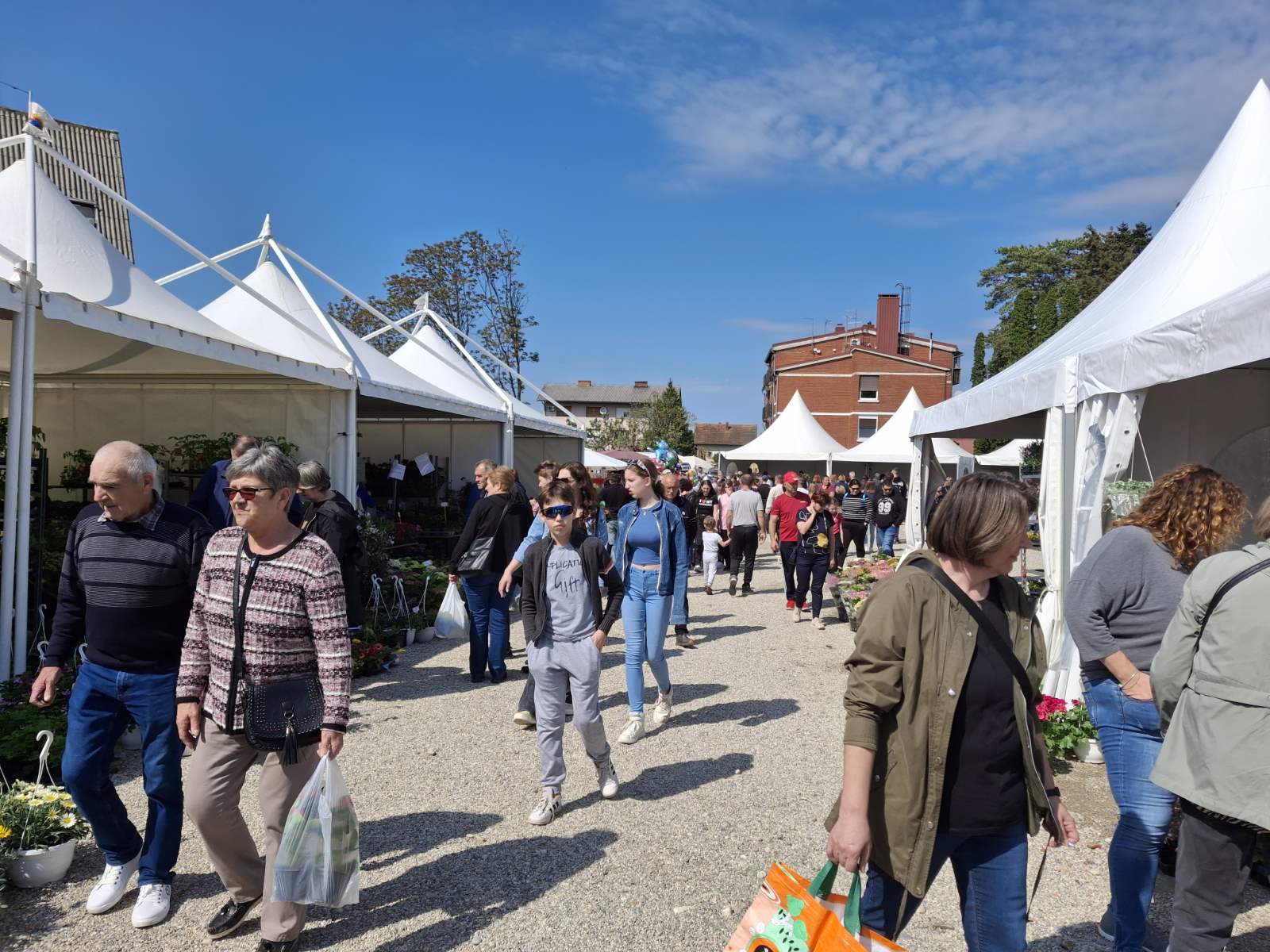 Sajam cvijeća Prelog 2025 Sajam cvijeća Prelog 2025