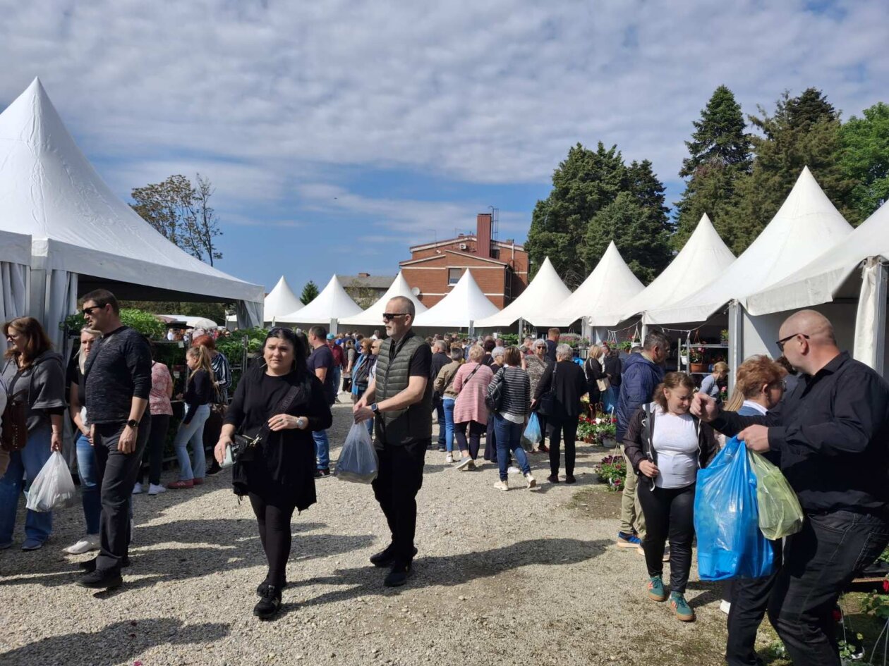 Sajam cvijeća Prelog 2025