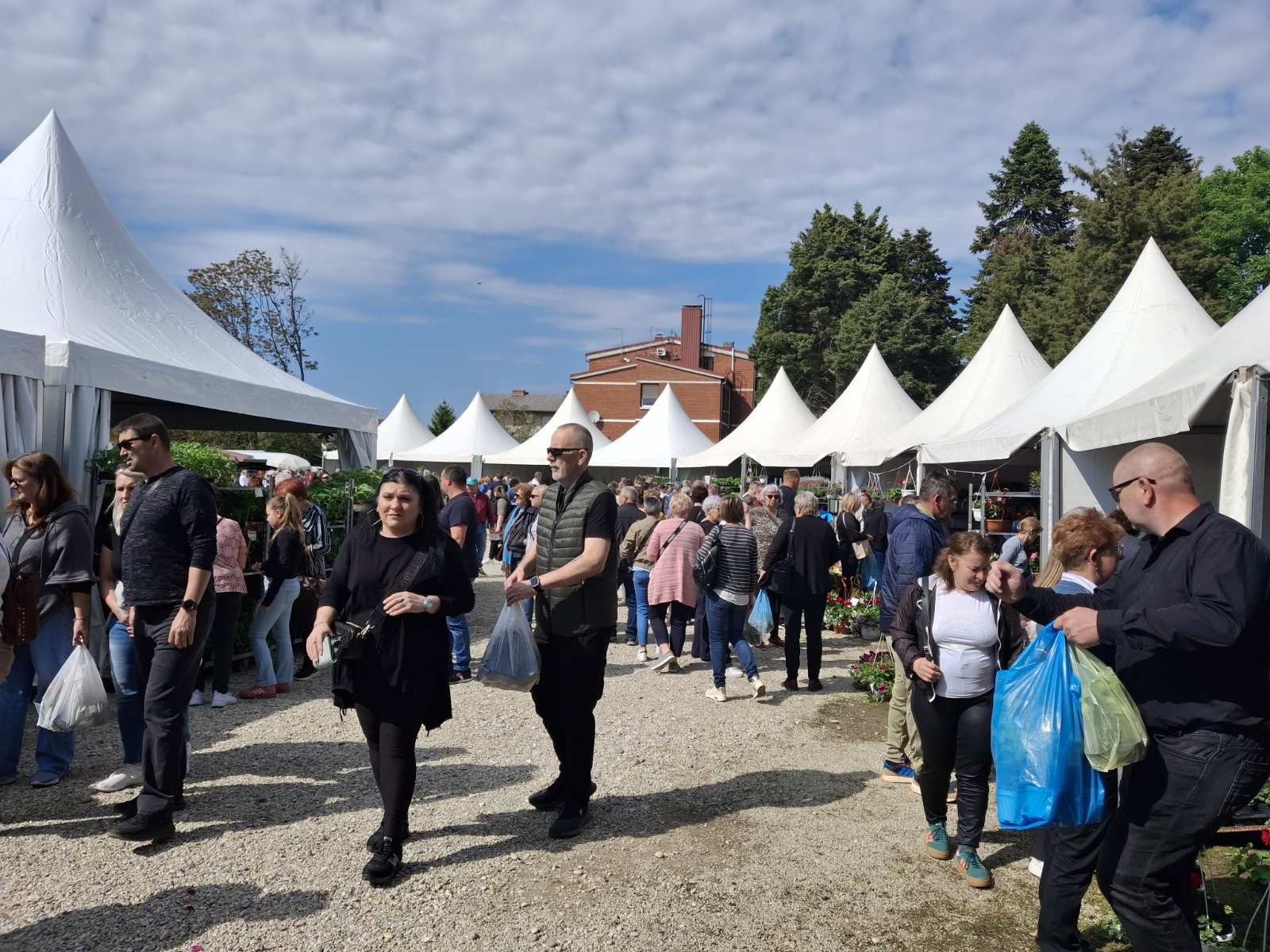 viber_slika_2025-04-27_16-08-30-120 Sajam cvijeća Prelog 2025