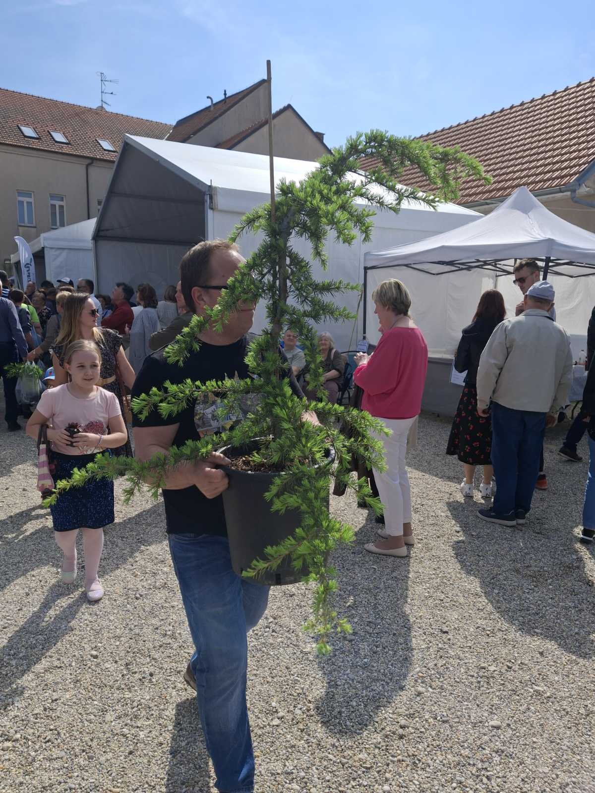 Sajam cvijeća Prelog 2025 Sajam cvijeća Prelog 2025