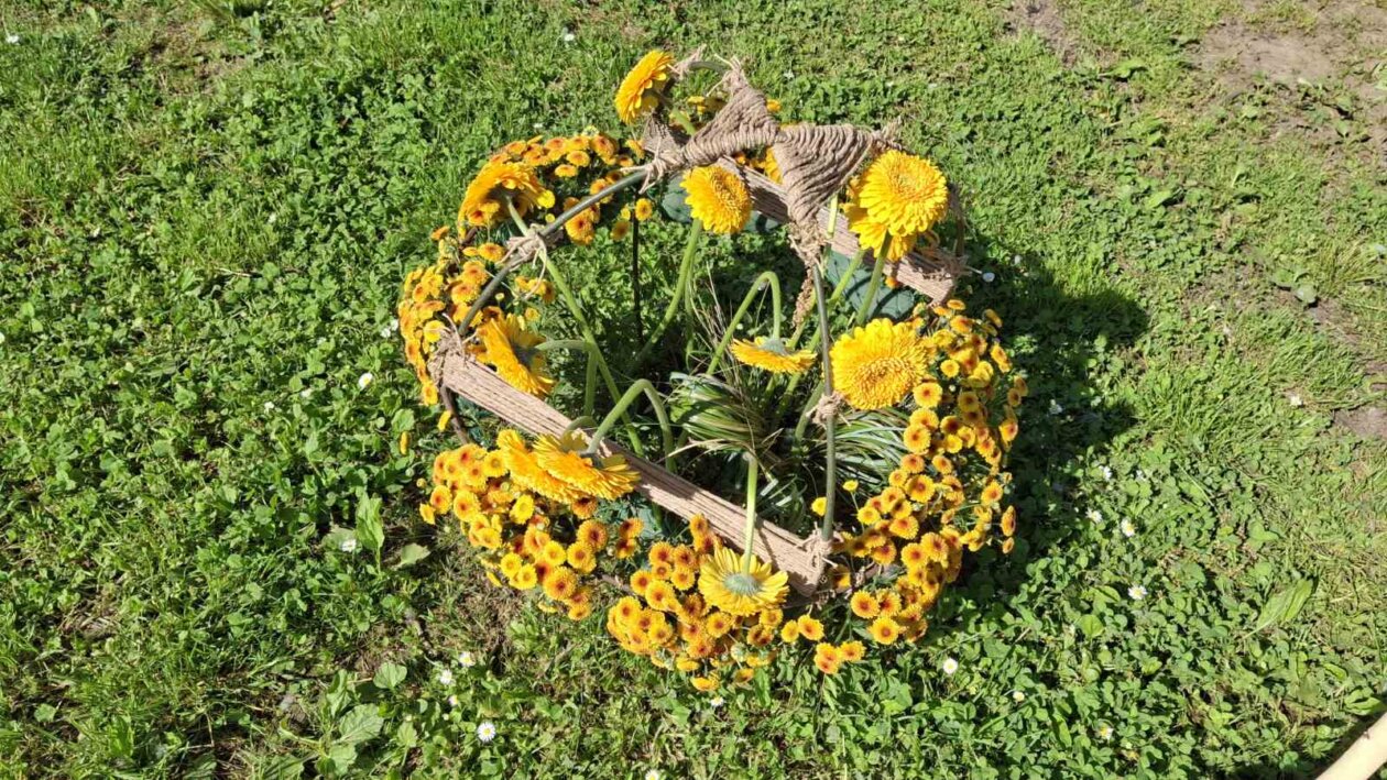 sajam cvijeća Ludbreg 2025 sajam cvijeća Ludbreg 2025