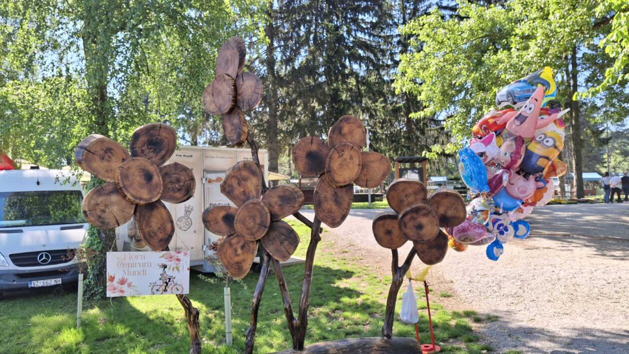 sajam cvijeća Ludbreg 2025 sajam cvijeća Ludbreg 2025