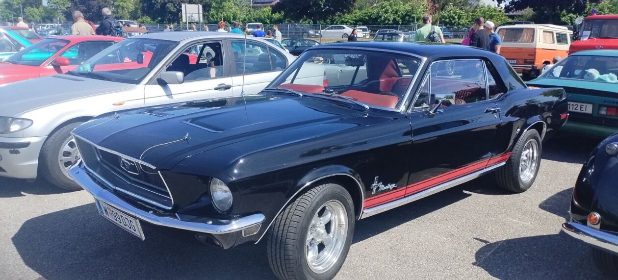 viber_slika_2025-05-10_18-44-10-608