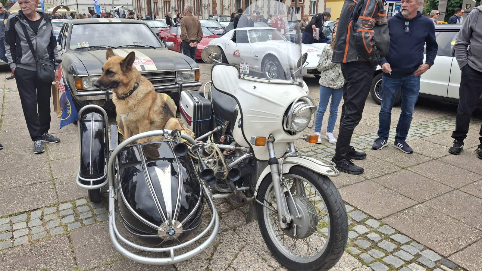 viber_slika_2025-05-17_09-46-13-997