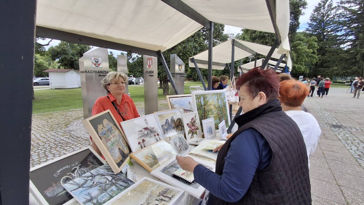 udruge dan grada čakovca