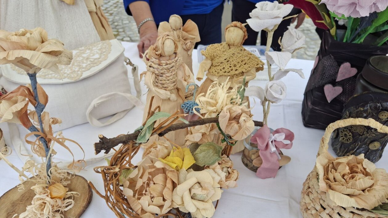 udruge dan grada čakovca