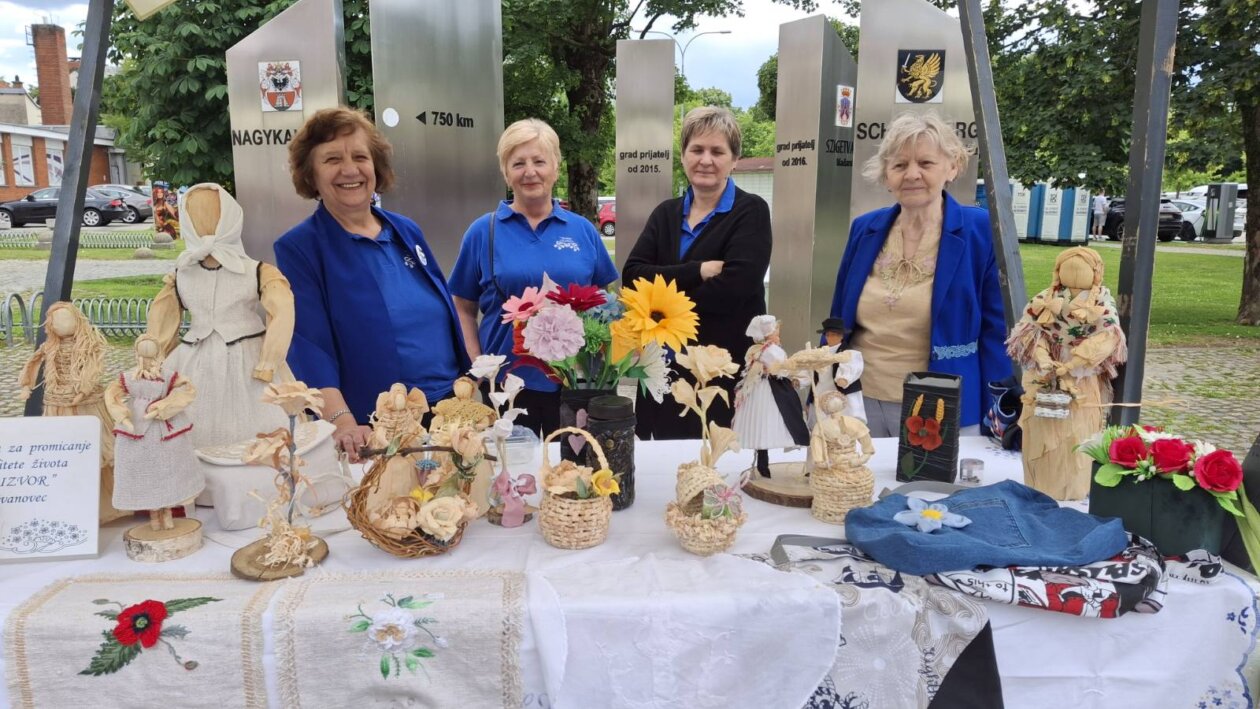 udruge dan grada čakovca