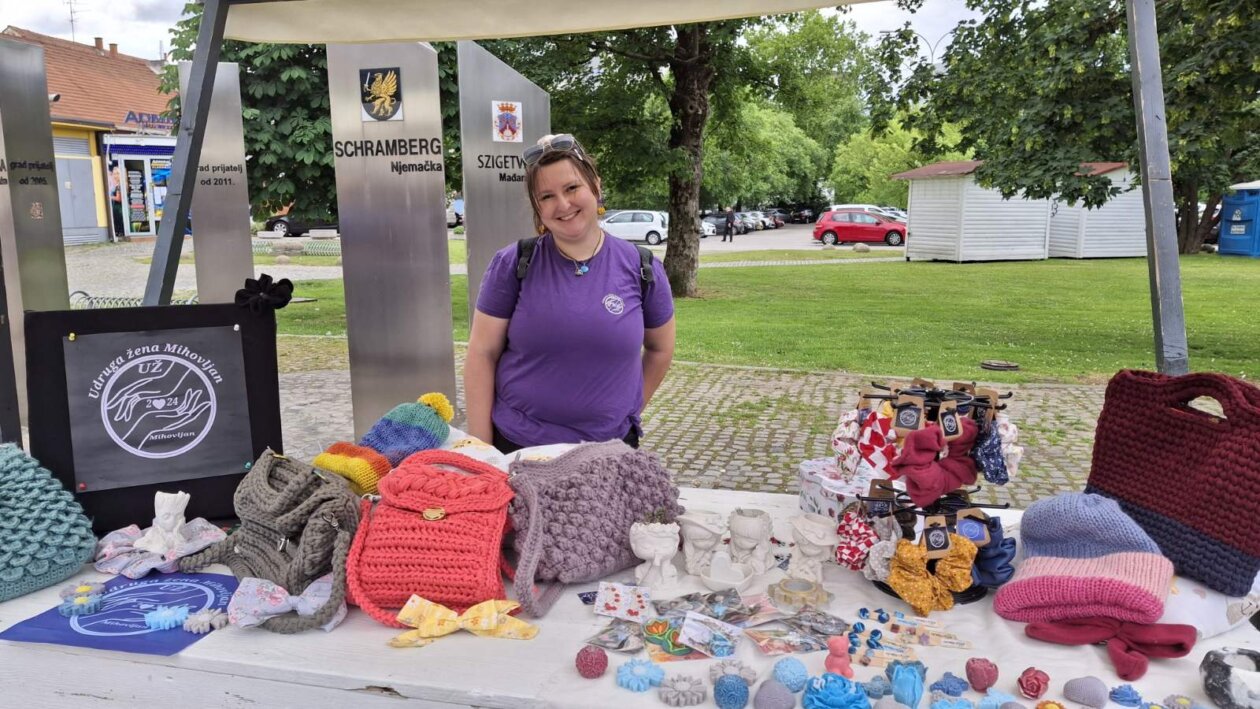 udruge dan grada čakovca