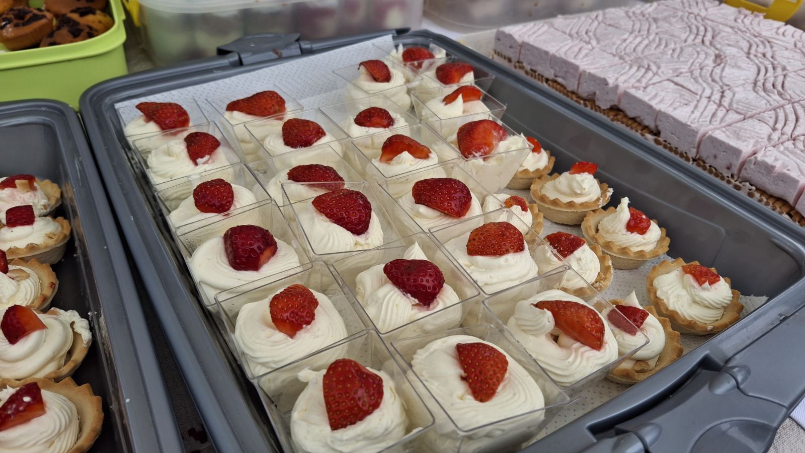 udruge dan grada čakovca