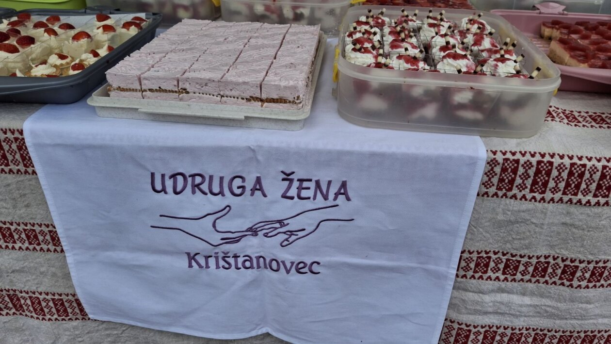 udruge dan grada čakovca