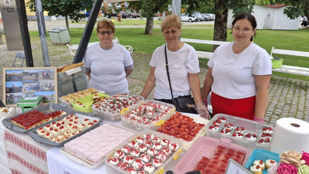 udruge dan grada čakovca