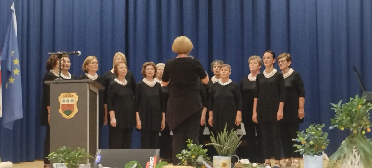 viber_slika_2025-06-24_19-07-38-183 viber_slika_2025-06-24_19-07-38-183