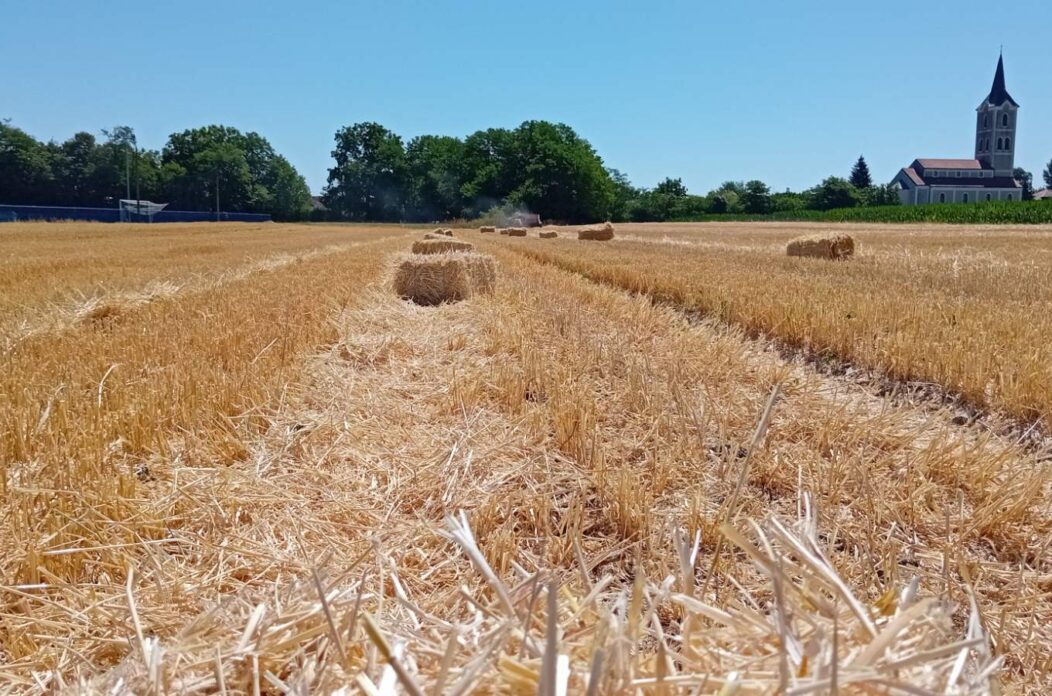 viber_slika_2025-07-02_12-59-00-528 viber_slika_2025-07-02_12-59-00-528