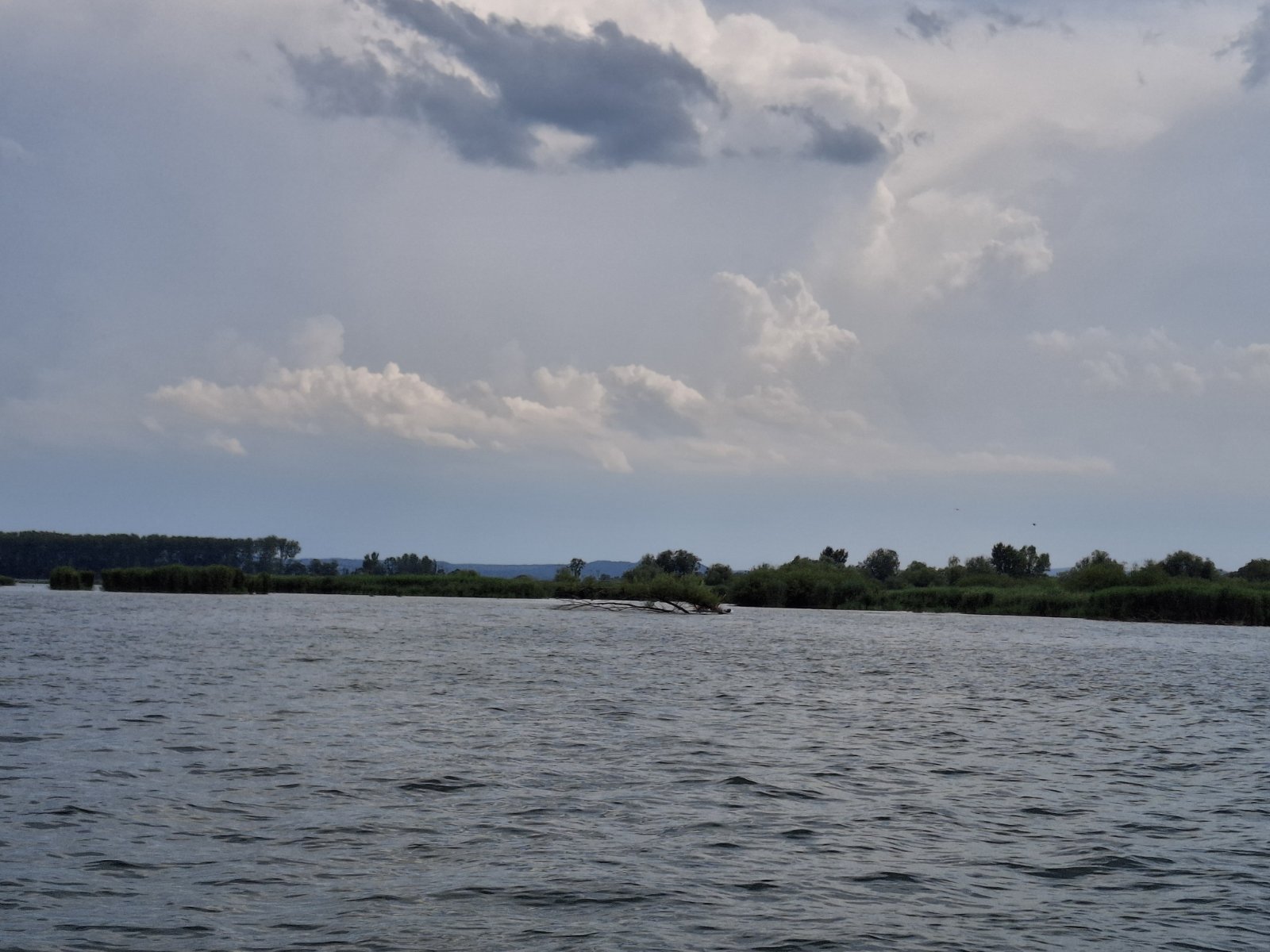 panoramska vožnja Dravom NK Labud
