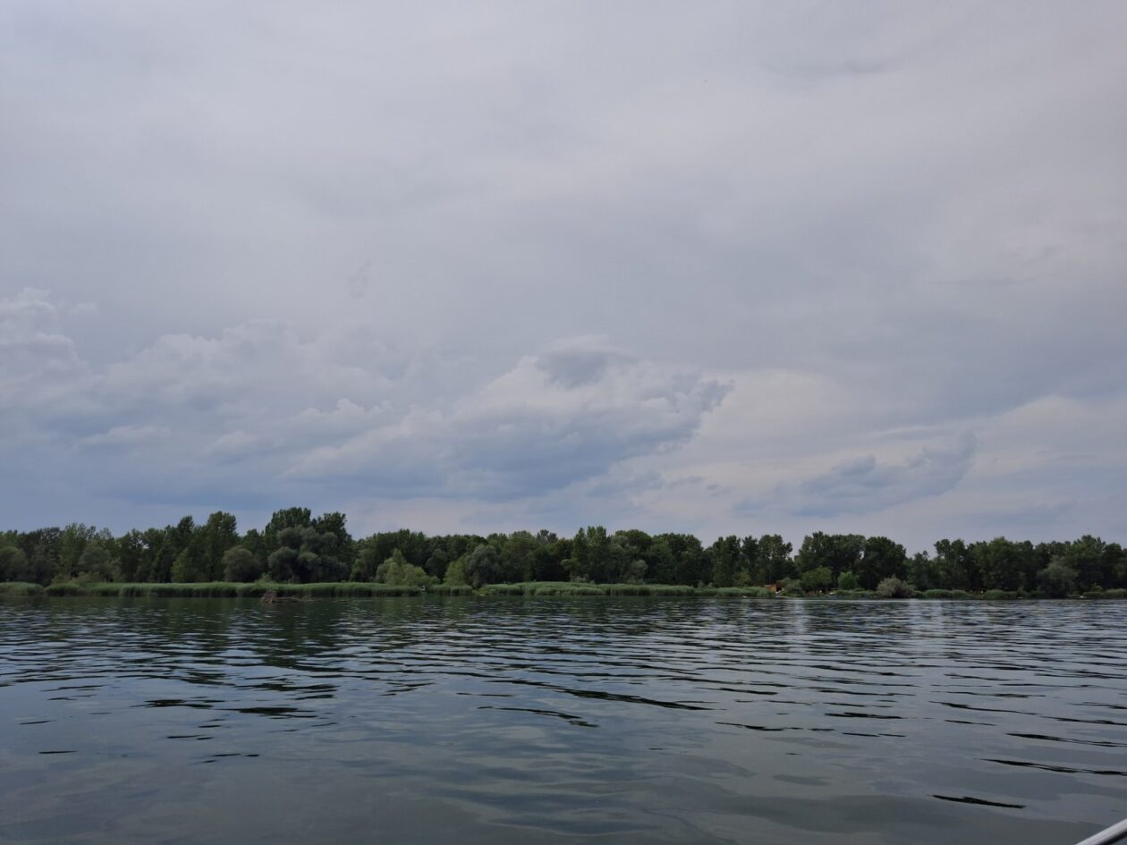 panoramska vožnja Dravom NK Labud panoramska vožnja Dravom NK Labud