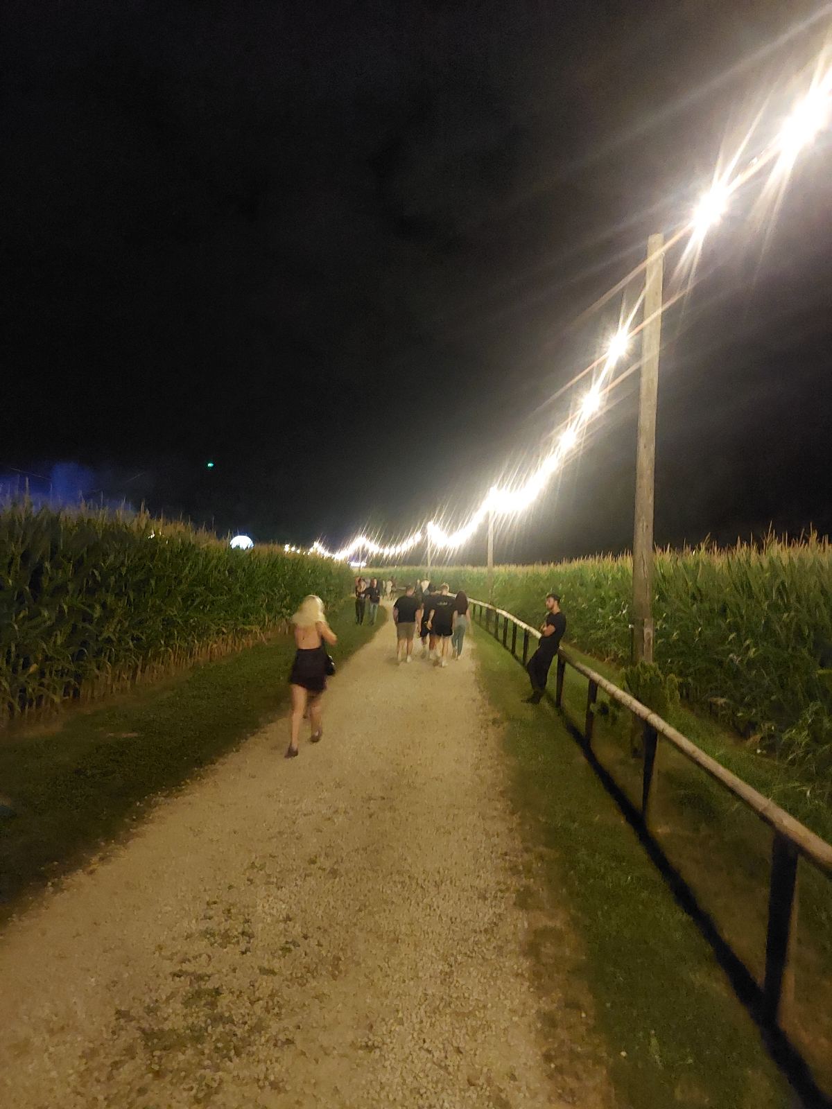 Forestland 2025 Forestland 2025