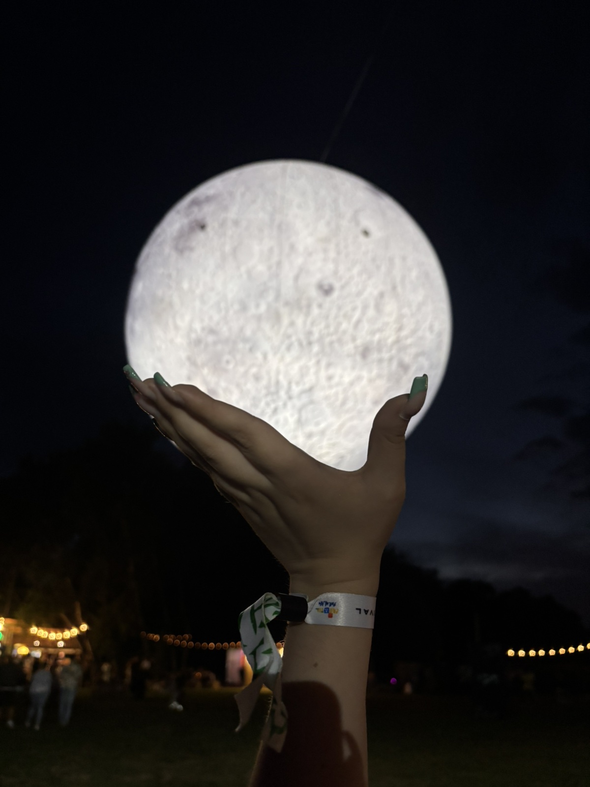 Forestland 2025 Forestland 2025