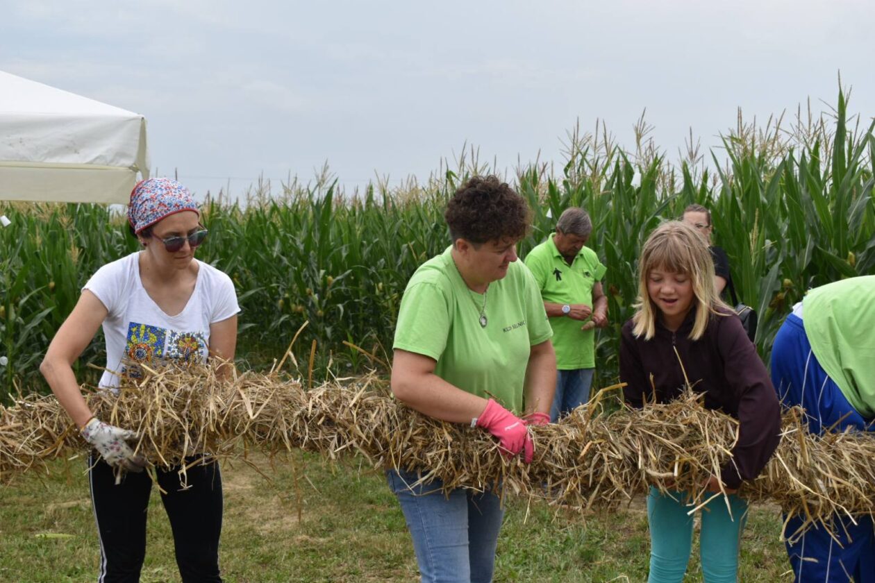 namatanje Pikača namatanje Pikača
