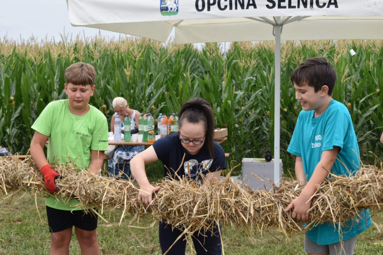 namatanje Pikača namatanje Pikača