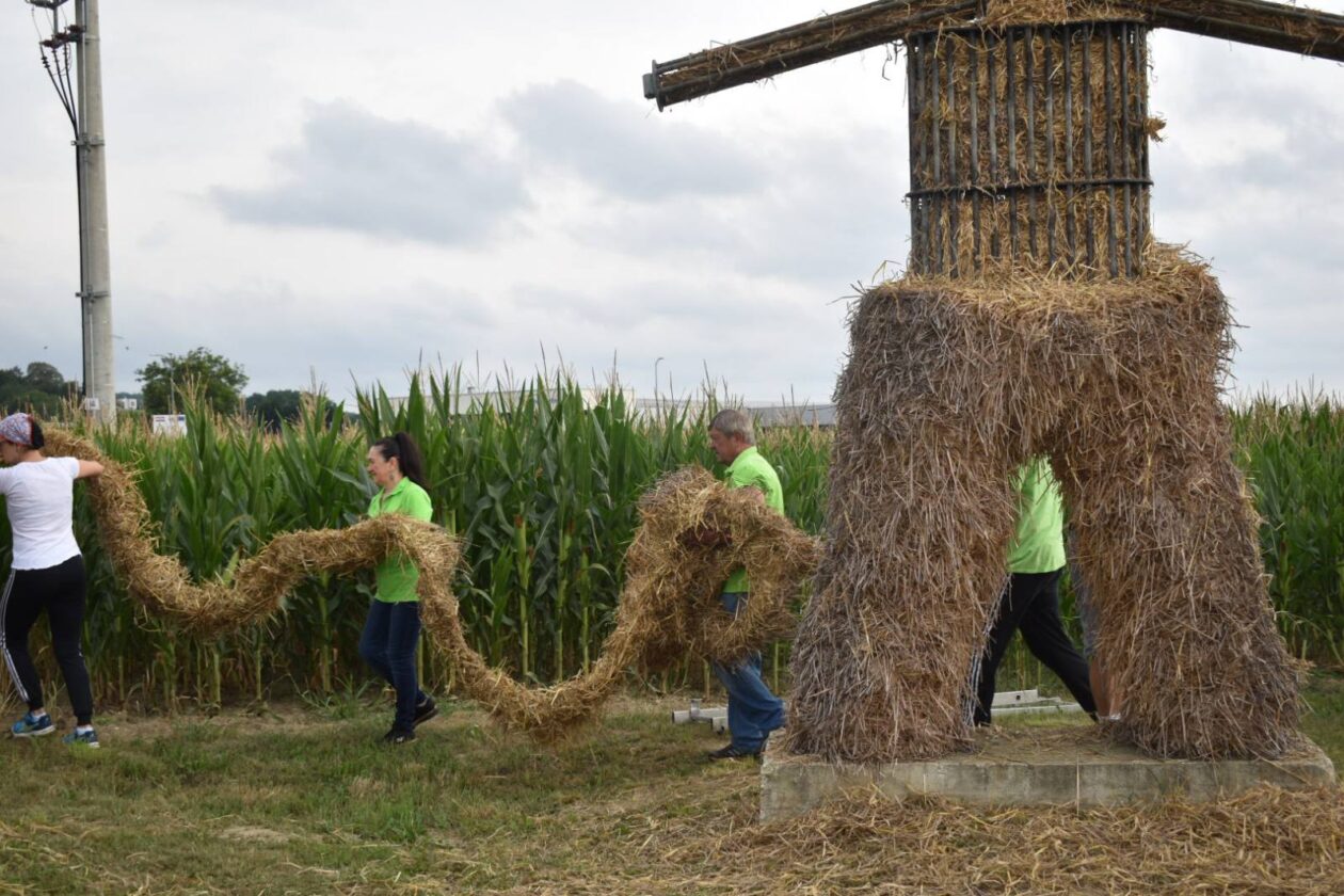 namatanje Pikača namatanje Pikača