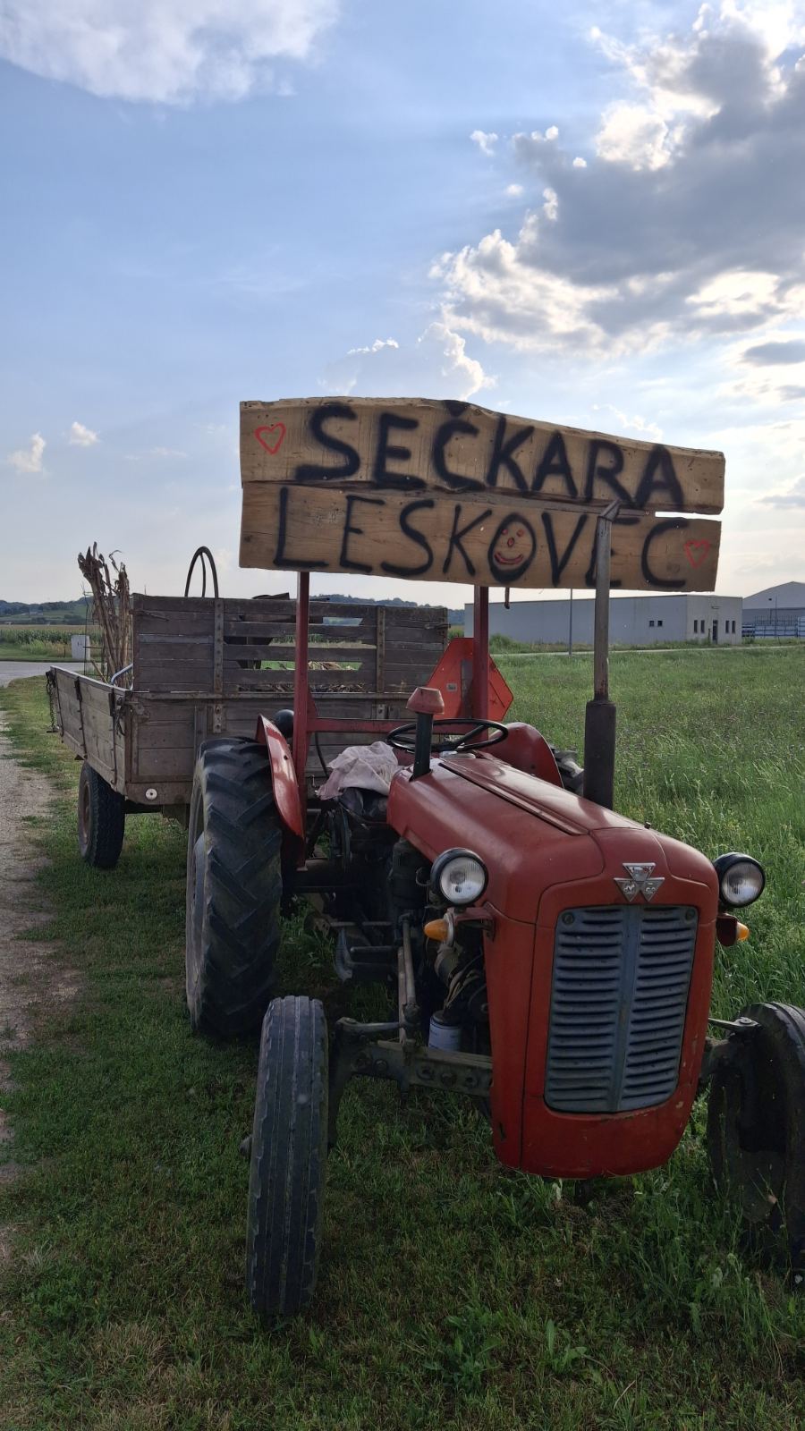 Povorka starih običaja i zanata