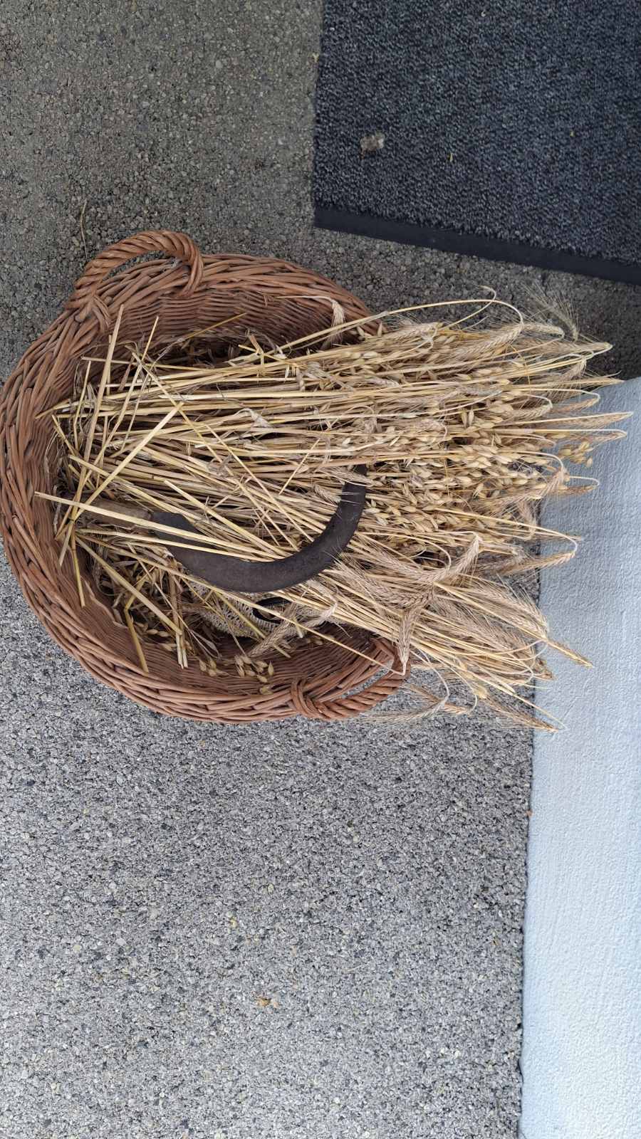 Povorka starih običaja i zanata