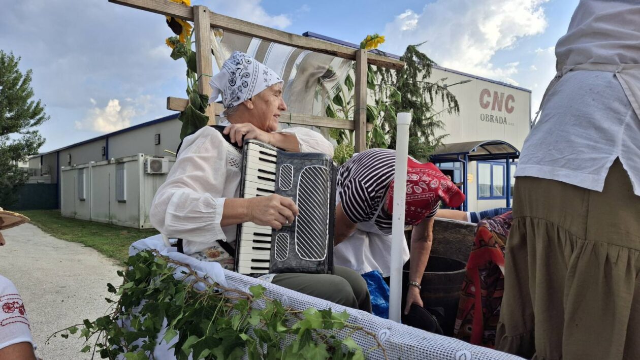 Povorka starih običaja i zanata