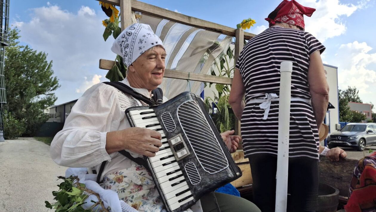 Povorka starih običaja i zanata