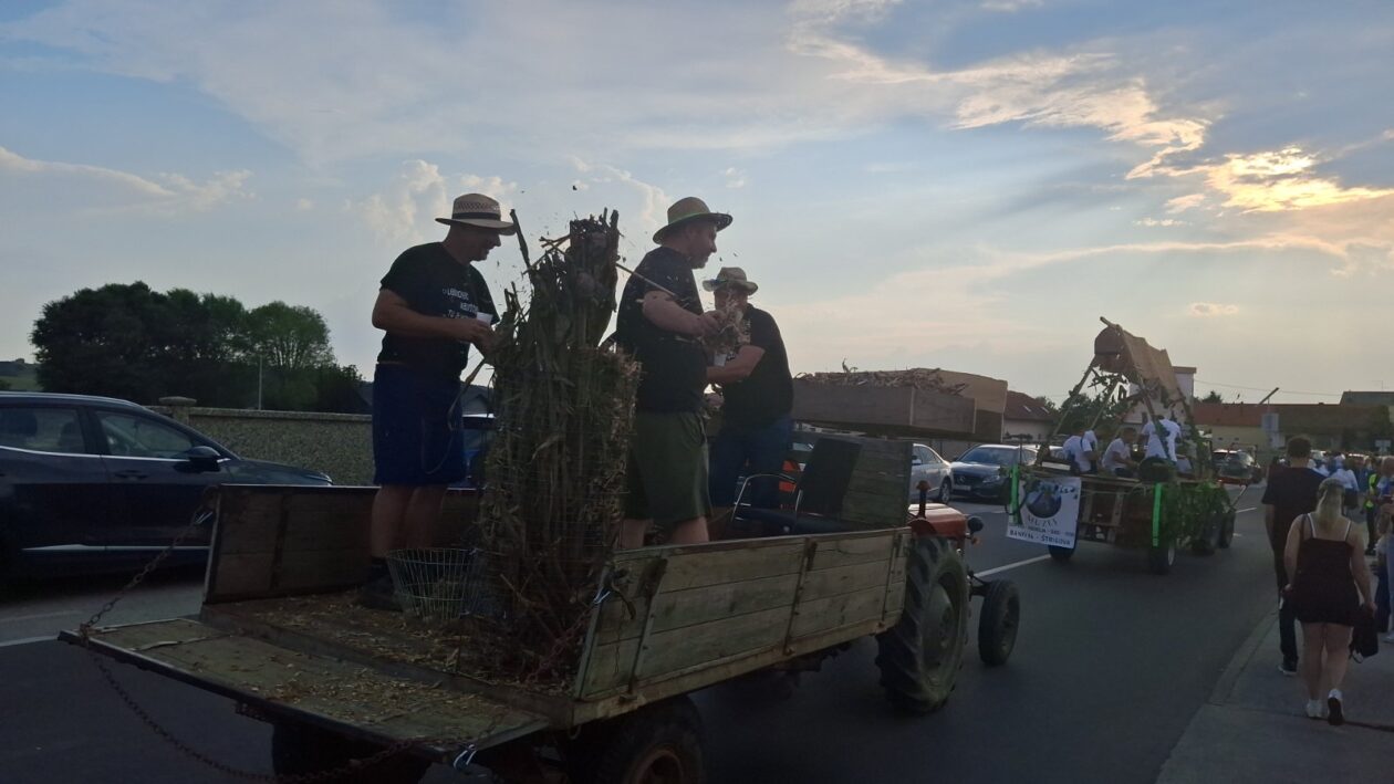 Povorka starih običaja i zanata