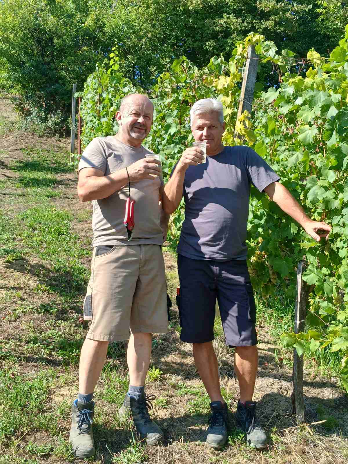 viber_slika_2025-09-06_15-05-11-505