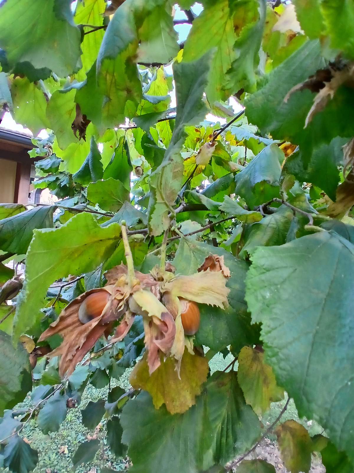 viber_slika_2025-09-06_15-06-30-424