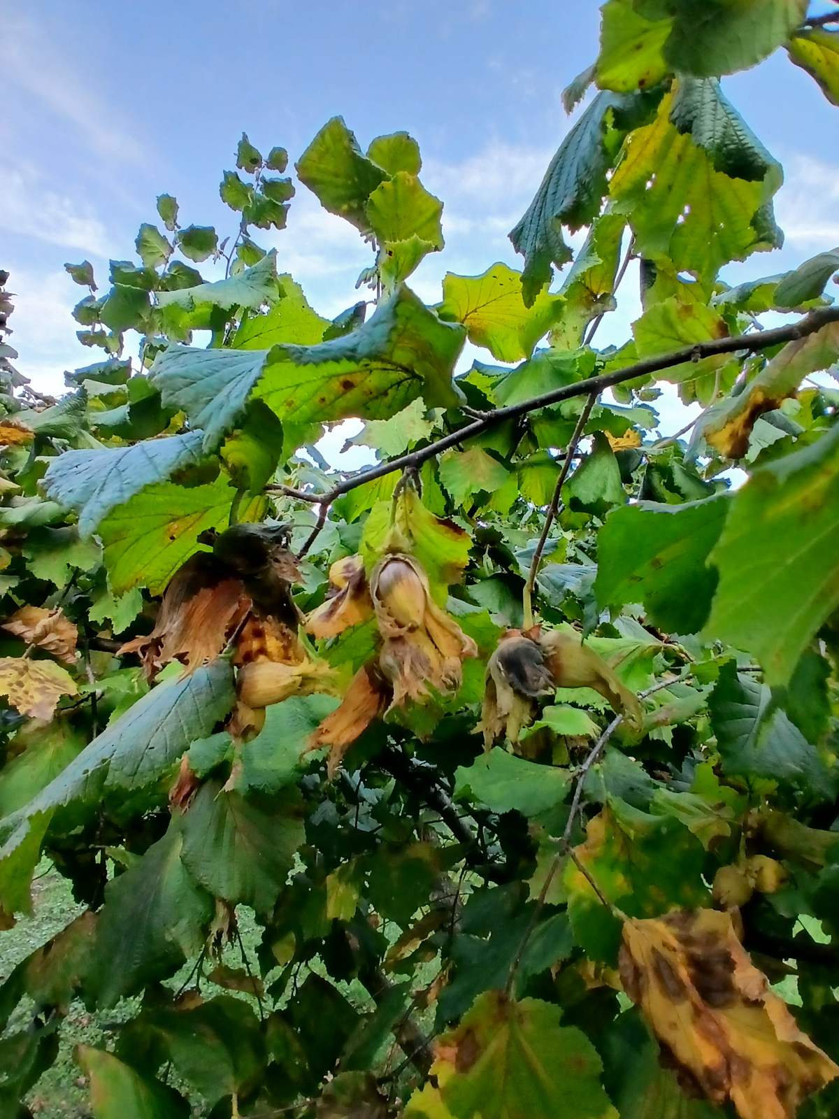 viber_slika_2025-09-06_15-06-30-601