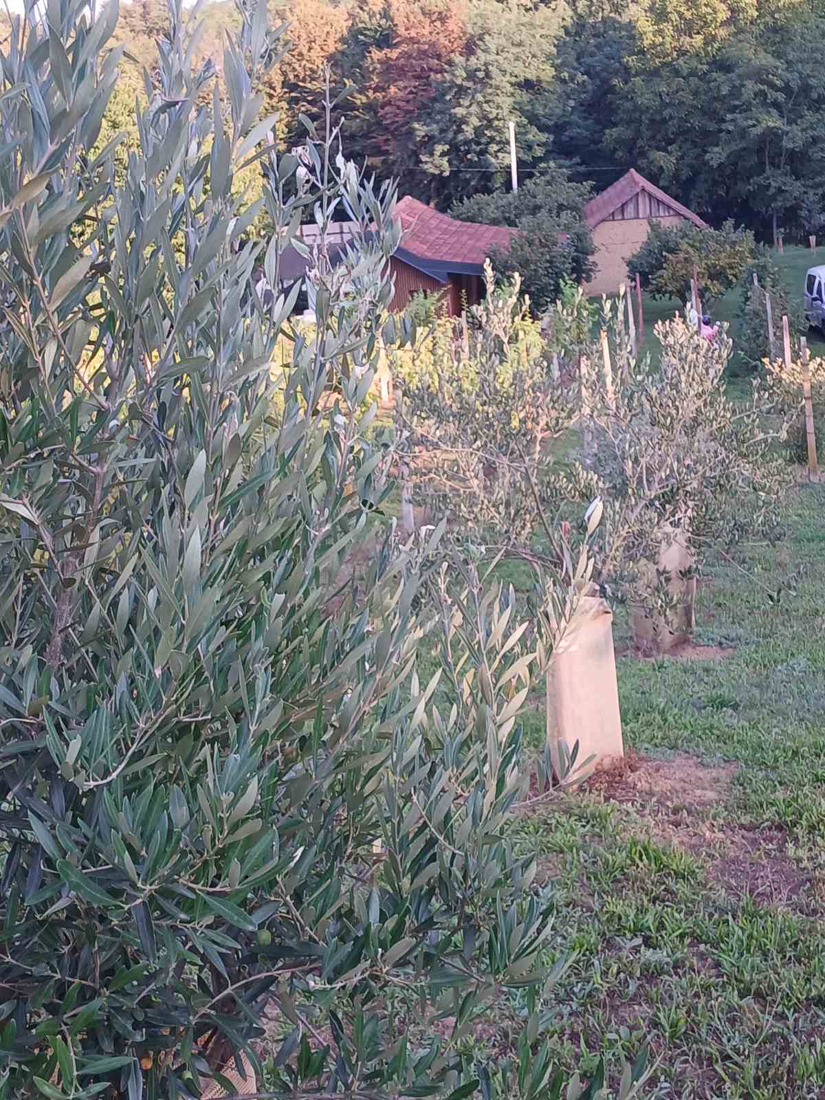 viber_slika_2025-09-06_15-06-56-654