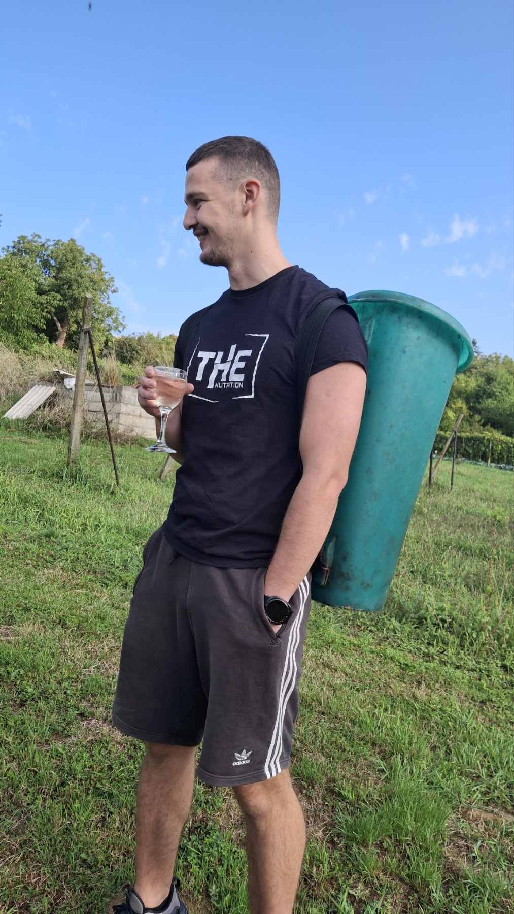 Berba grožđa Tomašić