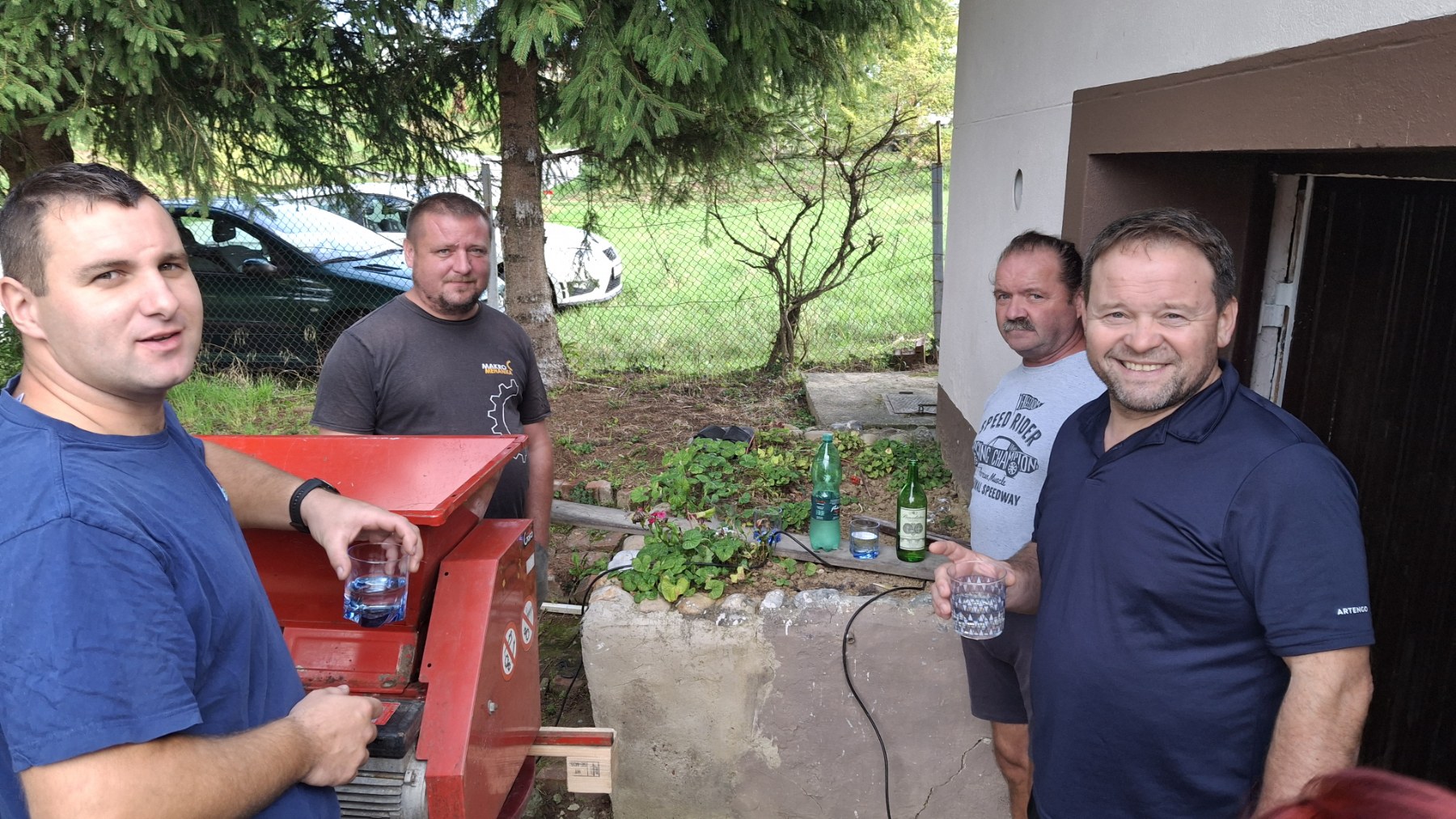 Berba grožđa Tomašić