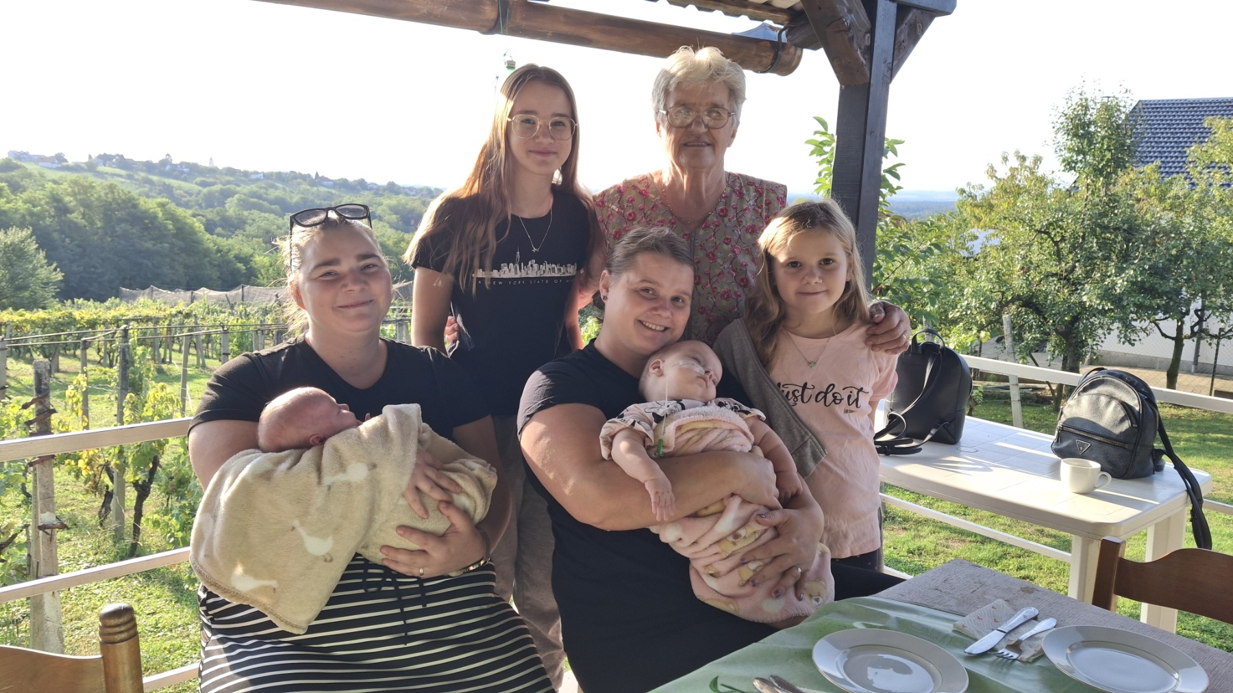 Berba grožđa Tomašić