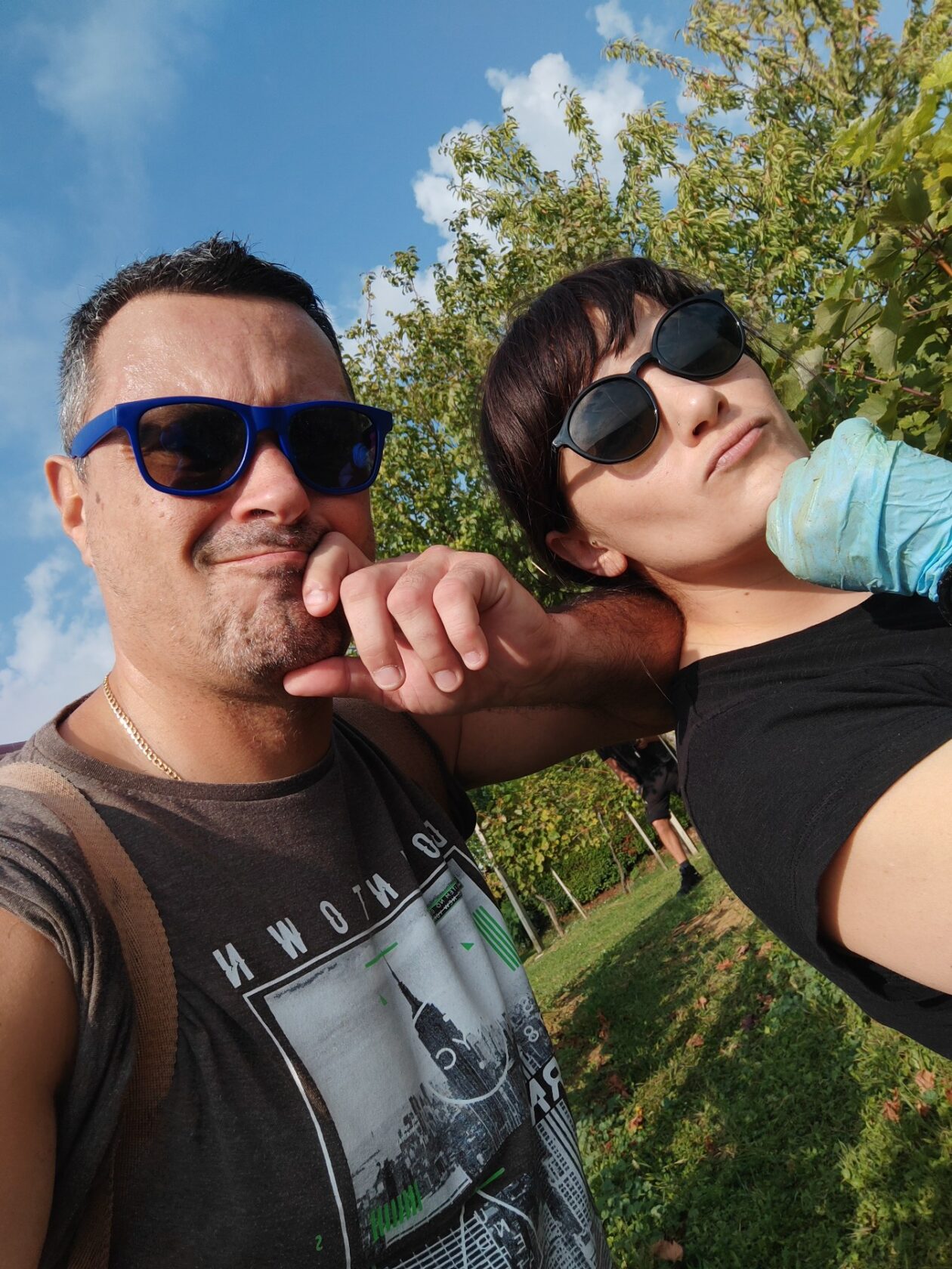 Berba Sveti Urban Branko Šarić