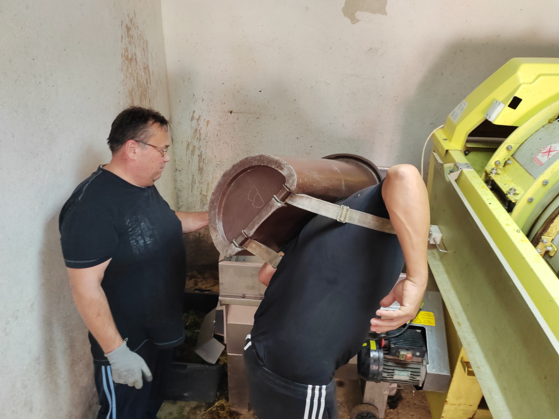 Berba Sveti Urban Branko Šarić Berba Sveti Urban Branko Šarić