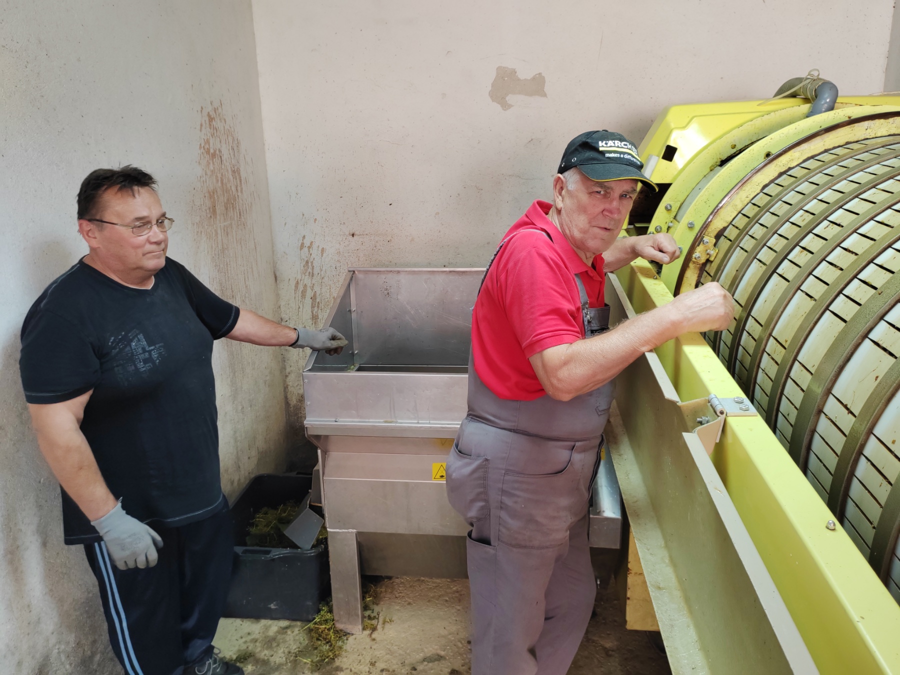 Berba Sveti Urban Branko Šarić