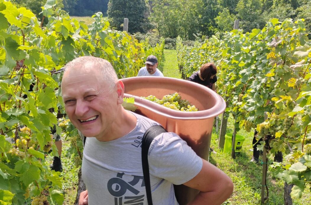 viber_slika_2025-09-13_11-25-28-804 22 viber_slika_2025-09-13_11-25-28-804 22